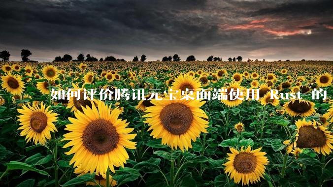 如何评价腾讯元宝桌面端使用 Rust 的 Tauri 框架？