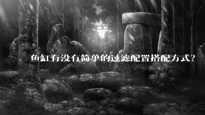 鱼缸有没有简单的过滤配置搭配方式？