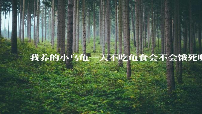 我养的小乌龟一天不吃龟食会不会饿死呢？