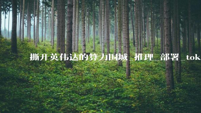 撕开英伟达的算力围城_推理_部署_tokens