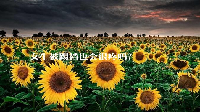 女生被踢裆也会很疼吗？