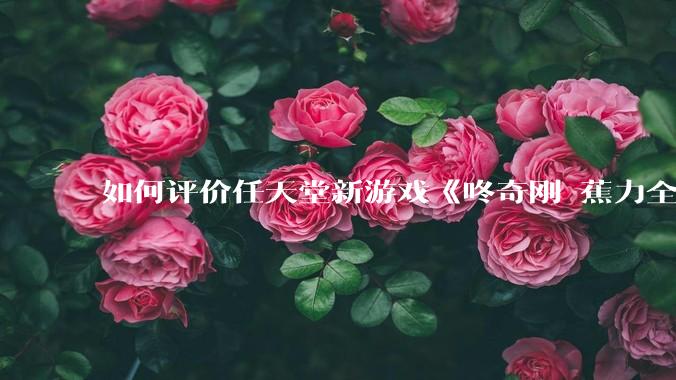 如何评价任天堂新游戏《咚奇刚 蕉力全开》的专场直面会？