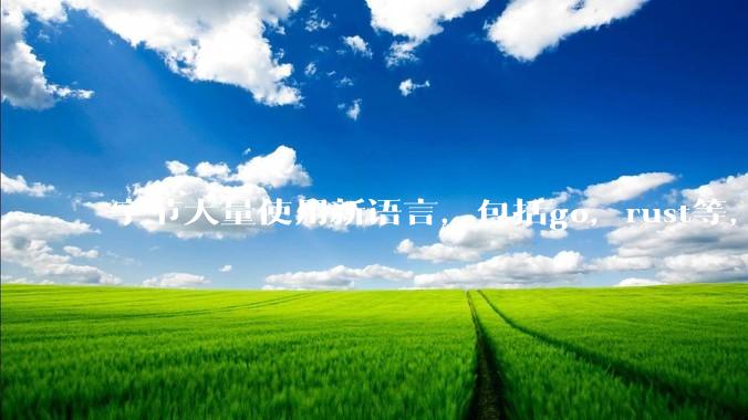 字节大量使用新语言，包括go，rust等，为什么阿里一直都抱着j***a不松手？