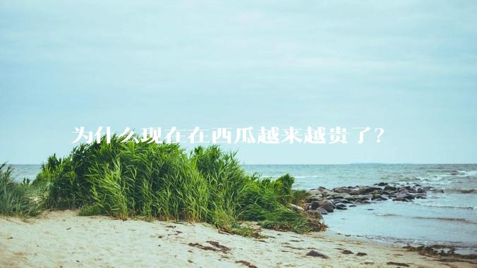 为什么现在在西瓜越来越贵了？