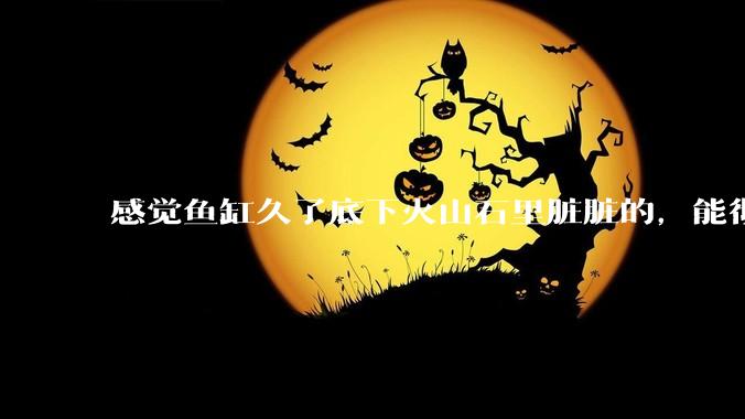 感觉鱼缸久了底下火山石里脏脏的，能彻底换水清理一遍不？