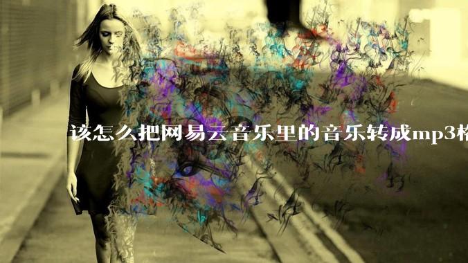 该怎么把网易云音乐里的音乐转成mp3格式导出软件？