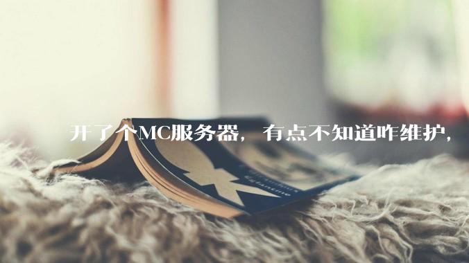 开了个MC服务器，有点不知道咋维护，有谁愿意帮我看看嘛？